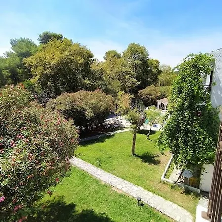 בית הארחה Amalia